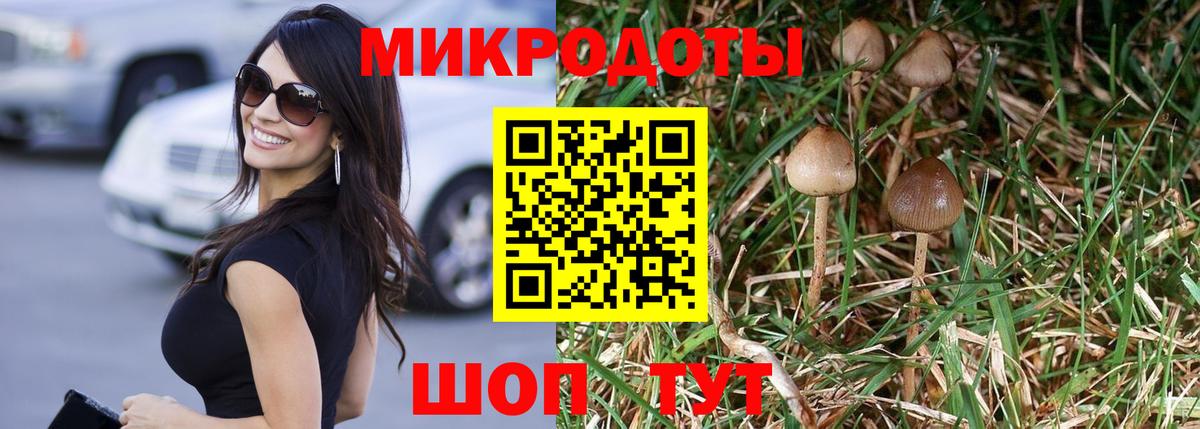 Галлюциногенные грибы Psilocybe Лесной