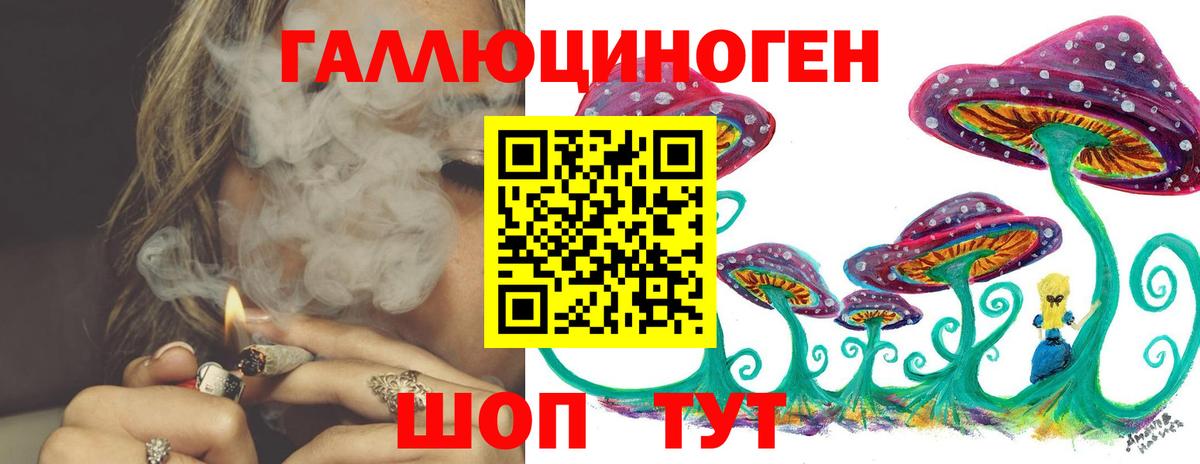 Лесной  Псилоцибиновые грибы прущие грибы  Вход с VPN 